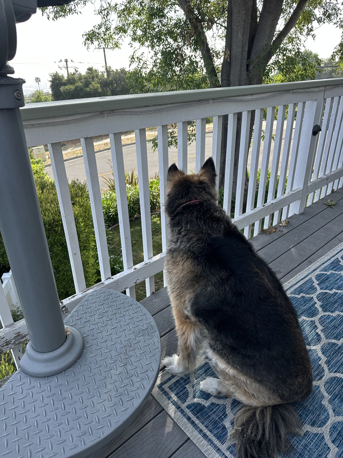 Raider on the porch